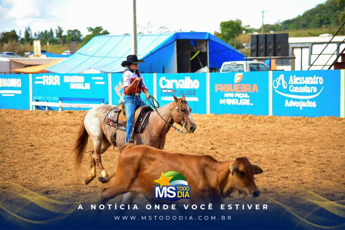 Imagem da Galeria